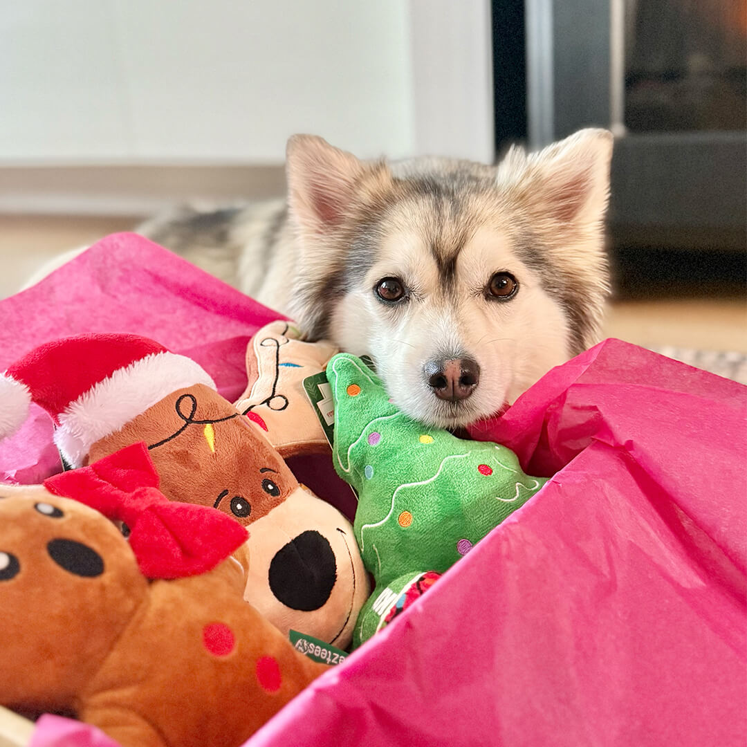 Kerstpakket - Everything XMAS