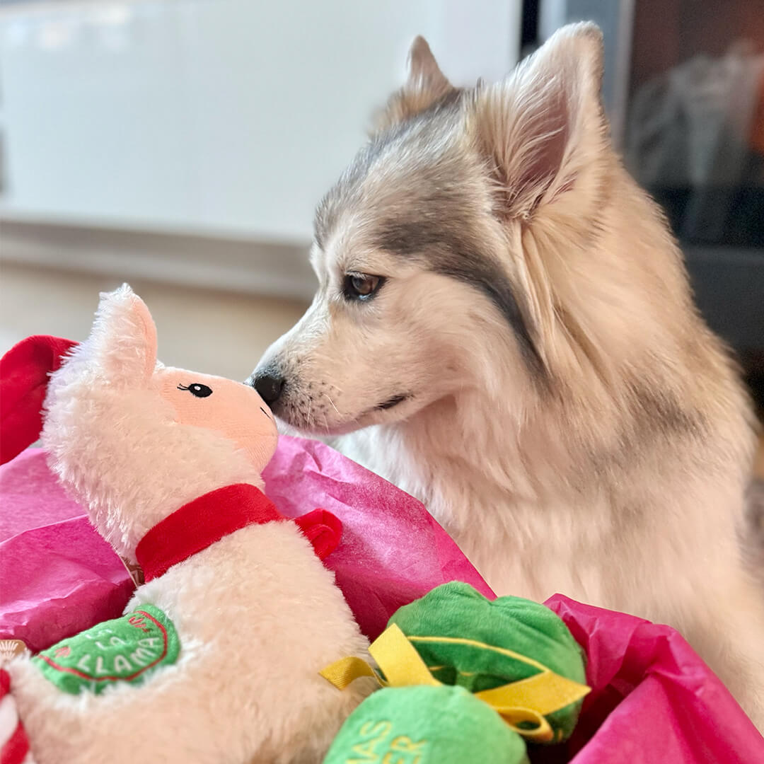 Kerstpakket - Merry Llama