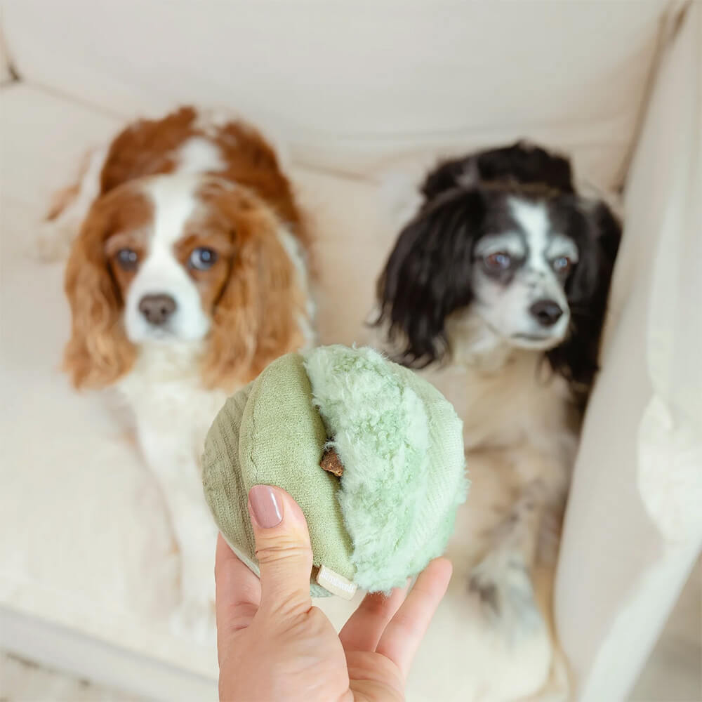 Lambwolf Collective - TOTO Fern (10,7 cm)