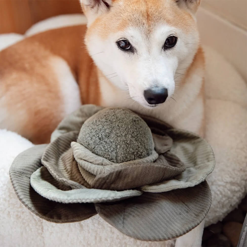 Lambwolf Collective - LARGE CABBAGE POP (26 cm)