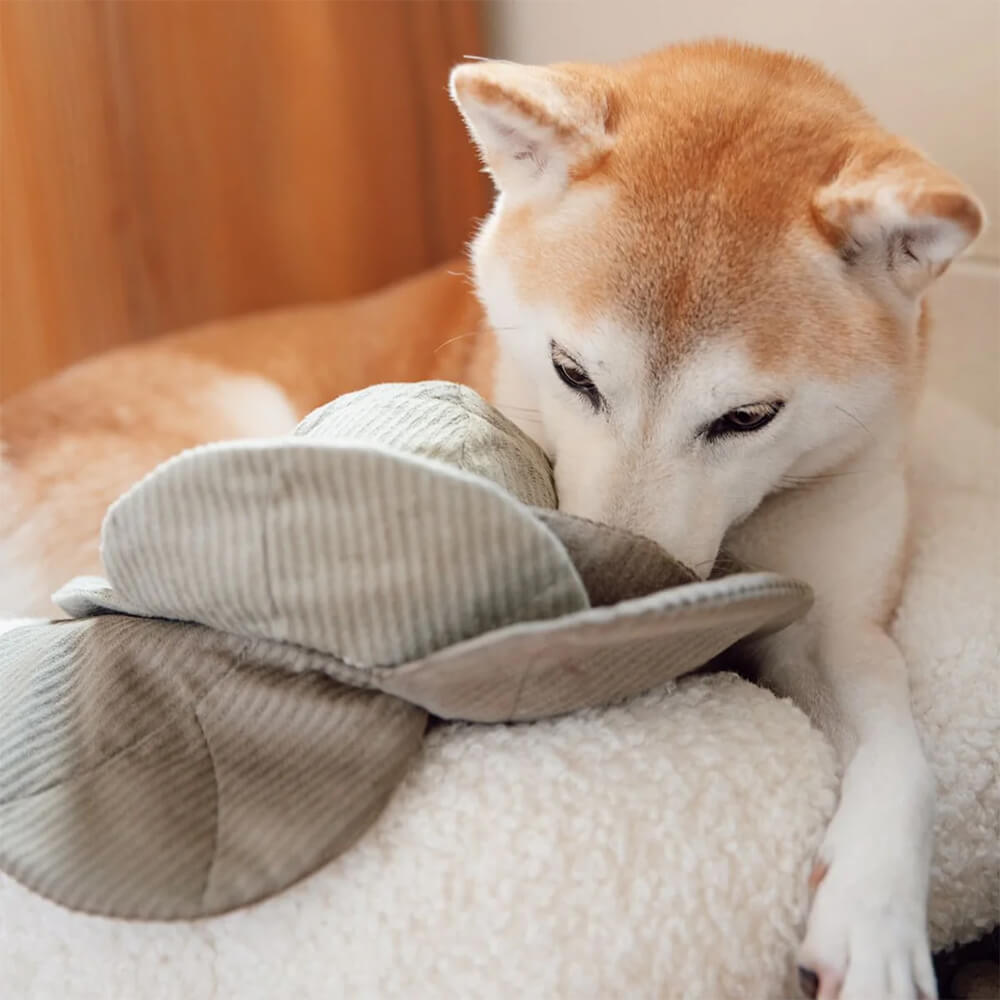 Lambwolf Collective - LARGE CABBAGE POP (26 cm)