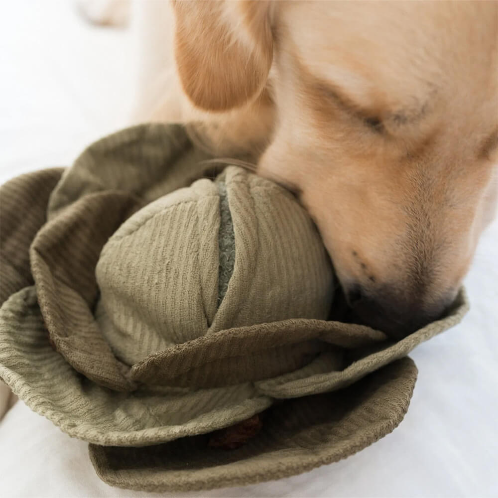 Lambwolf Collective - LARGE CABBAGE POP (26 cm)