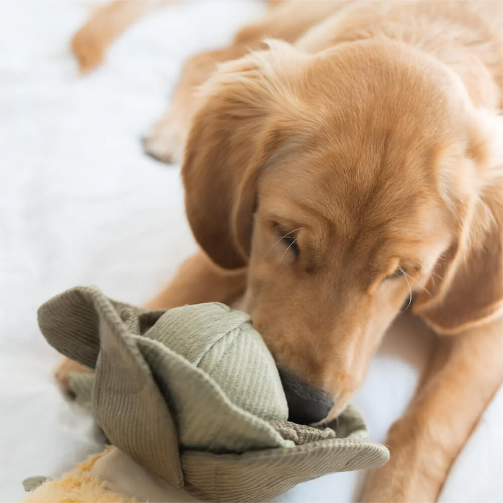 Lambwolf Collective - LARGE CABBAGE POP (26 cm)