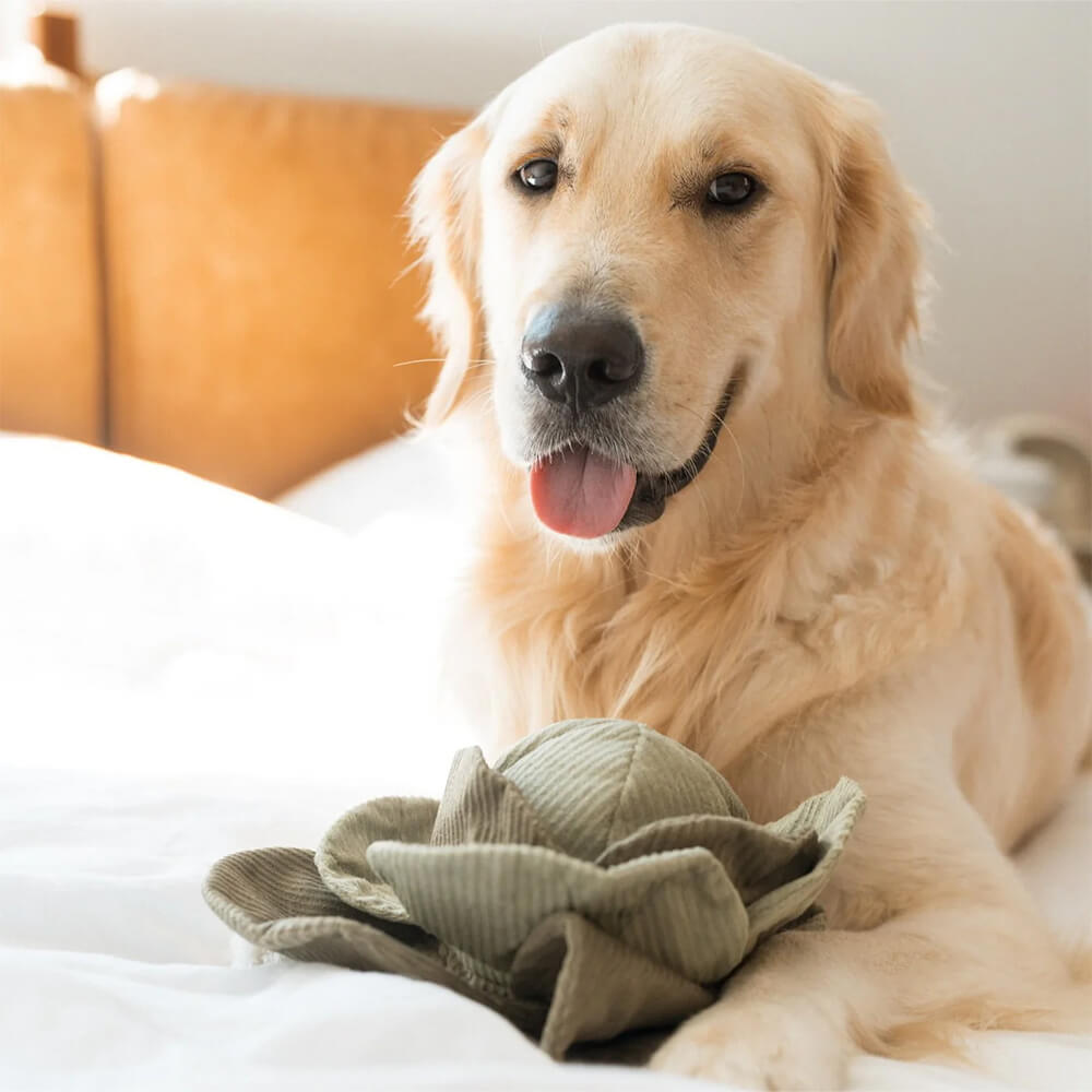 Lambwolf Collective - LARGE CABBAGE POP (26 cm)