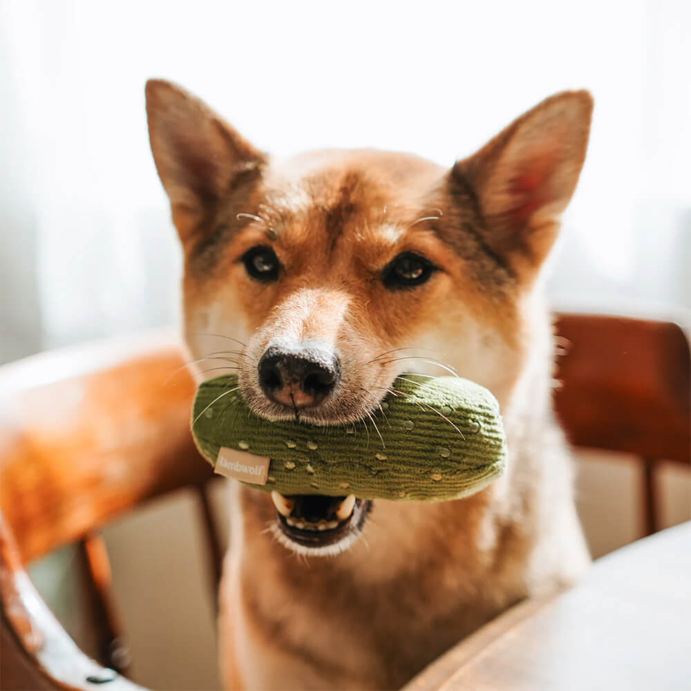 Lambwolf Collective - BAGEL + PICKLE (11,5 cm)