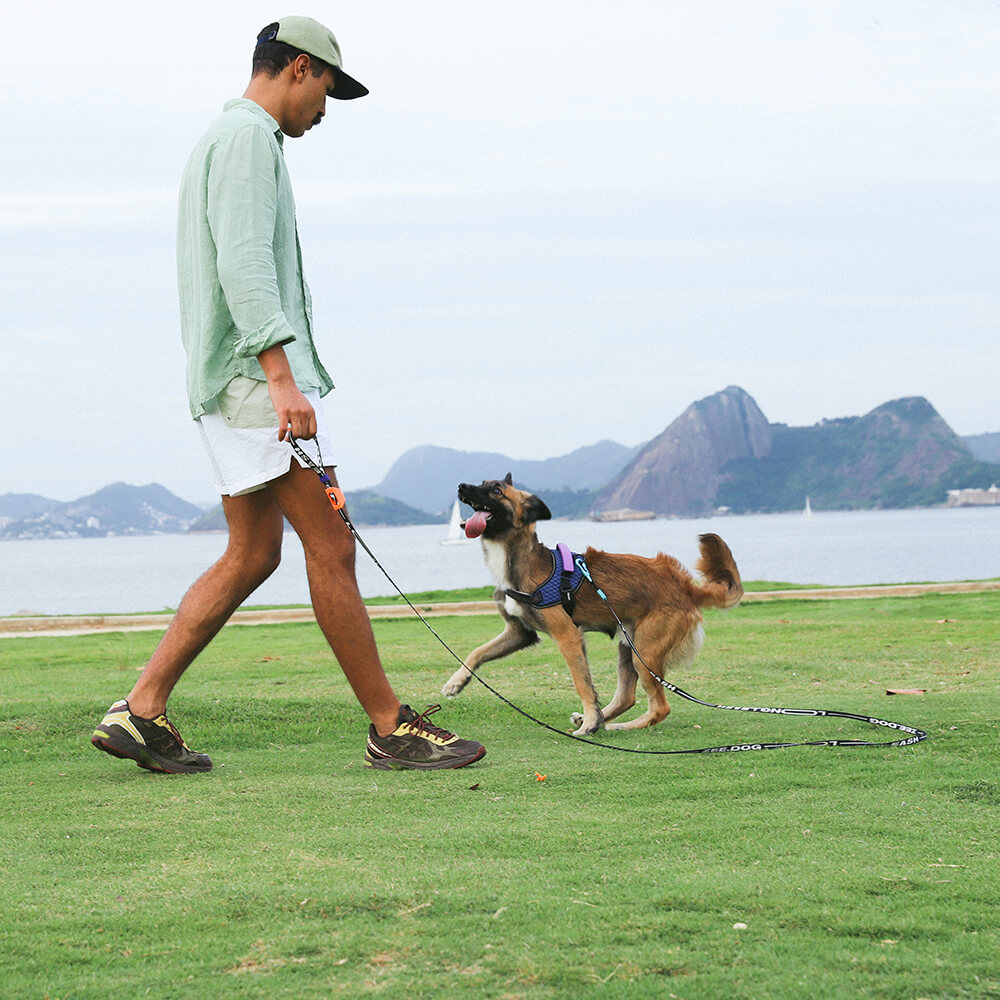 Zee.Dog - Long Leash Primo