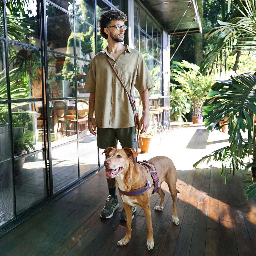 Zee.Dog - Handsfree Riem Cocoa
