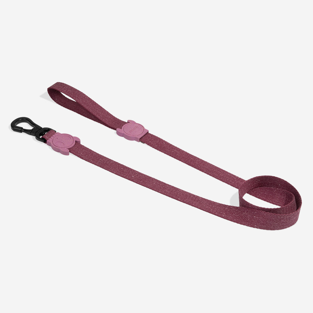Zee.Dog - Riem Hibiscus