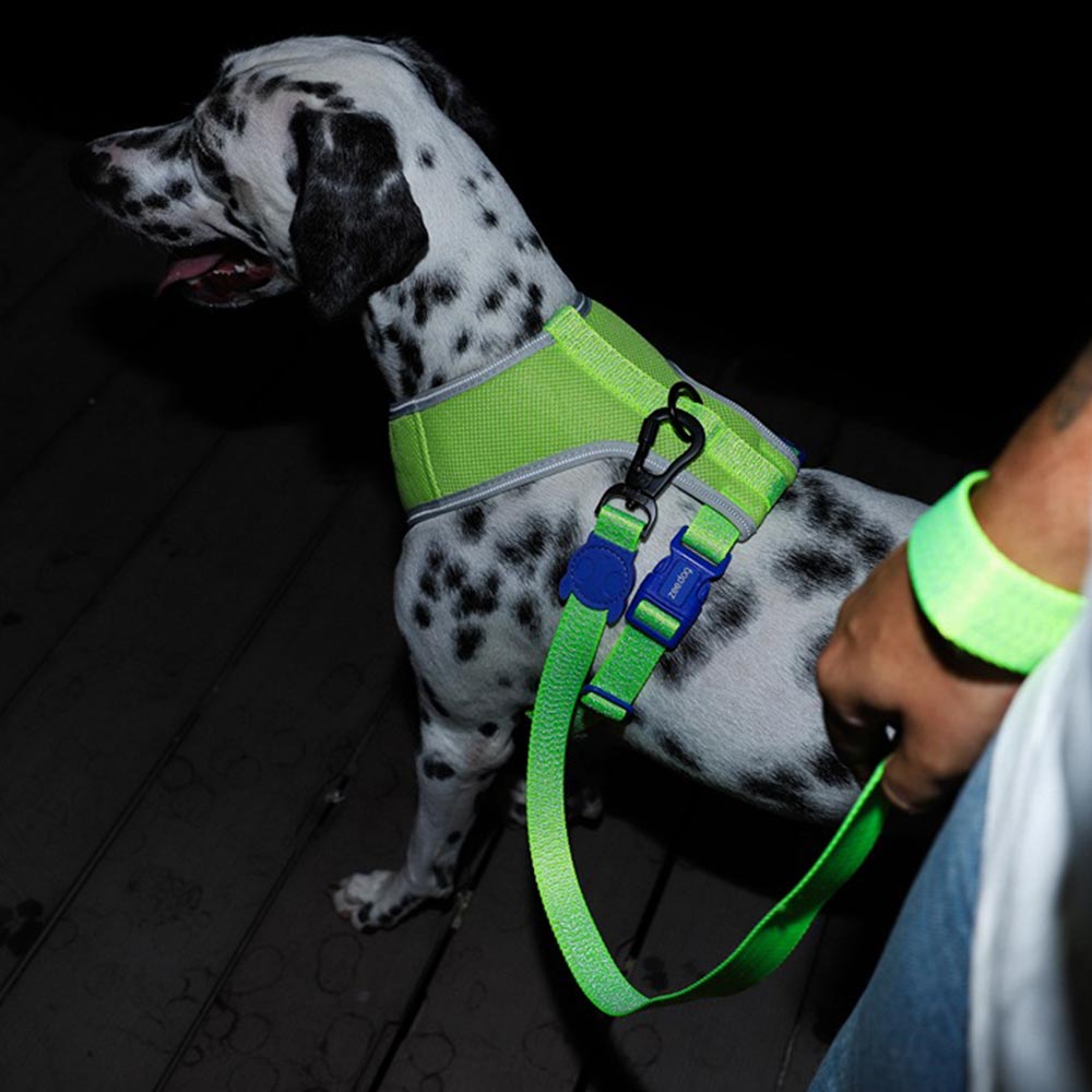 Zee.Dog - Riem Nox Lumen
