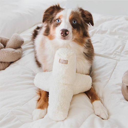  Lambwolf Collective - O BREUER Snow