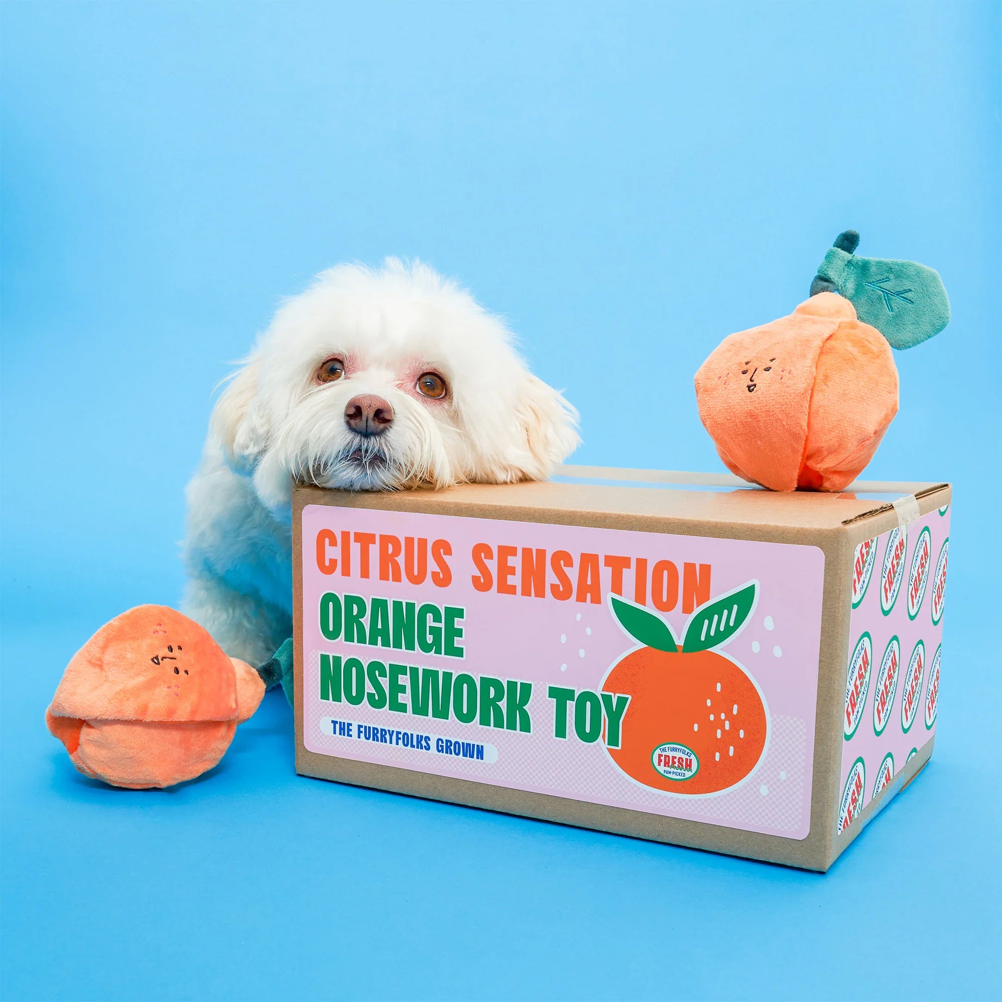 The Furryfolks - Orange (17 cm)