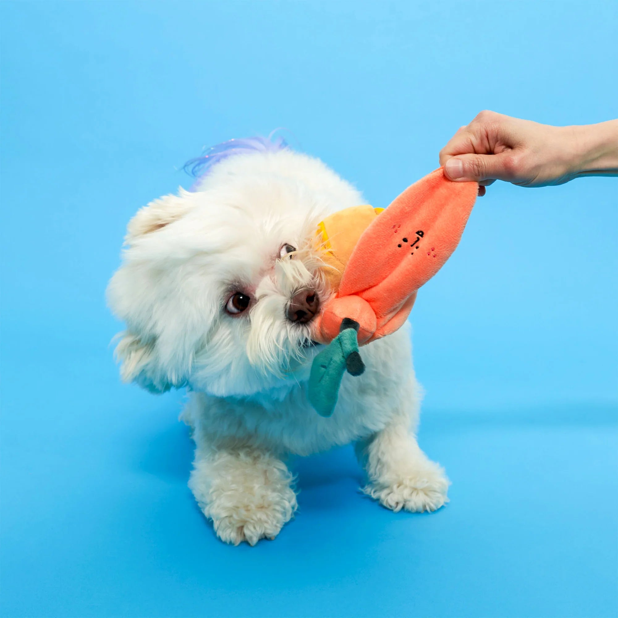 The Furryfolks - Orange (17 cm)