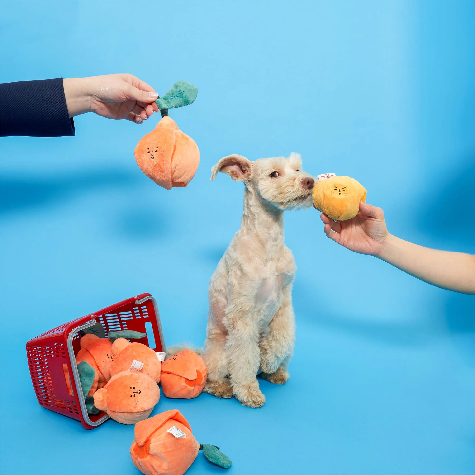 The Furryfolks - Orange (17 cm)