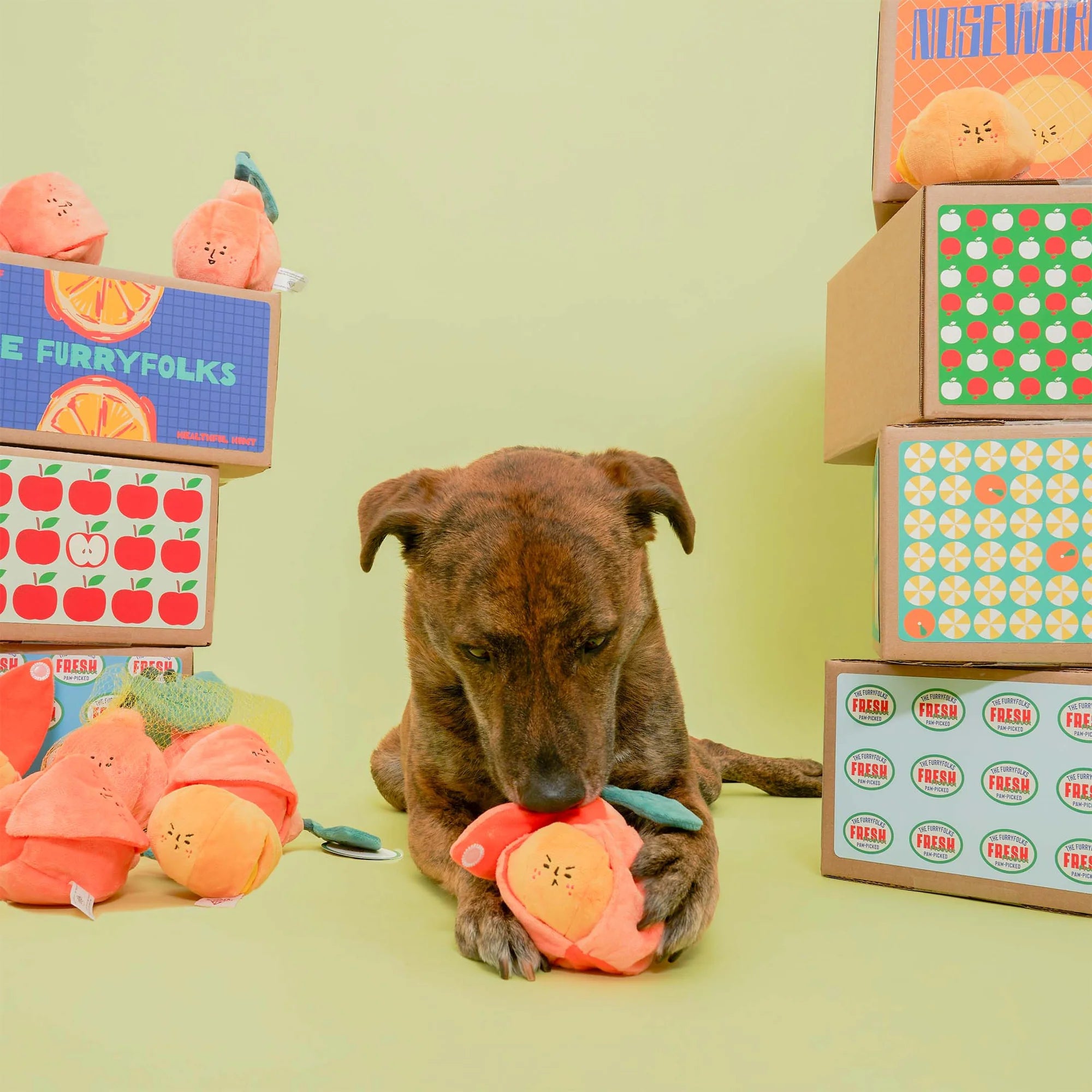 The Furryfolks - Orange (17 cm)