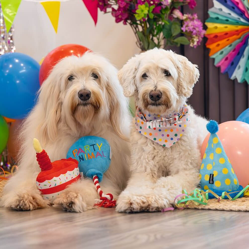 Beeztees - Party Animal (39 cm)