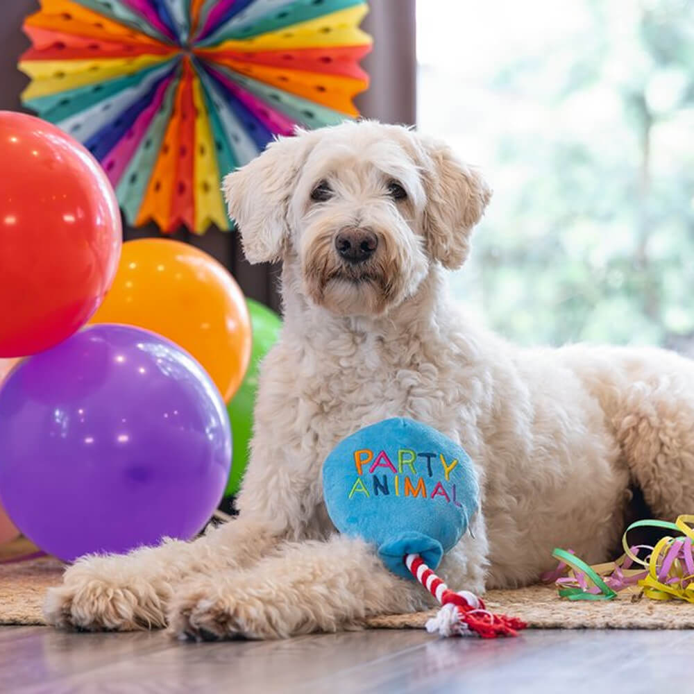 Beeztees - Party Animal (39 cm)