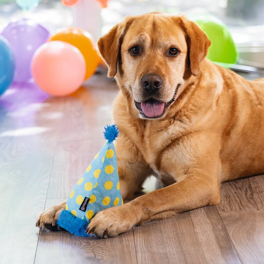 Beeztees - Party Feestmuts (22 cm)