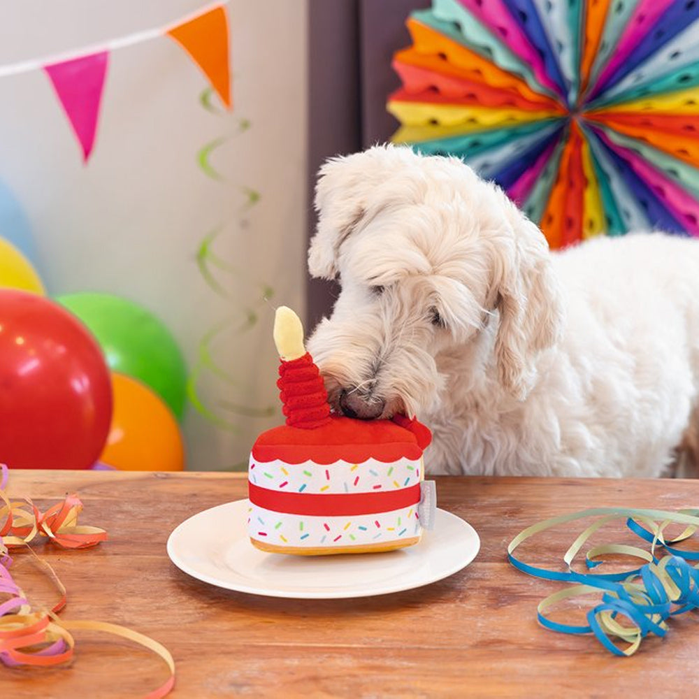 Beeztees - Party Taart (19 cm)