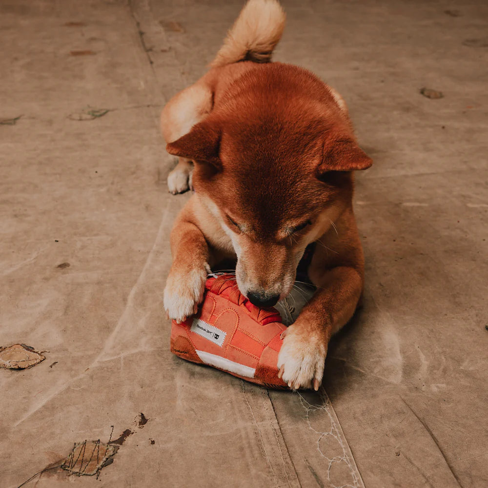 Zee.Dog - Reebok Workout Plus Sneaker (18 cm)