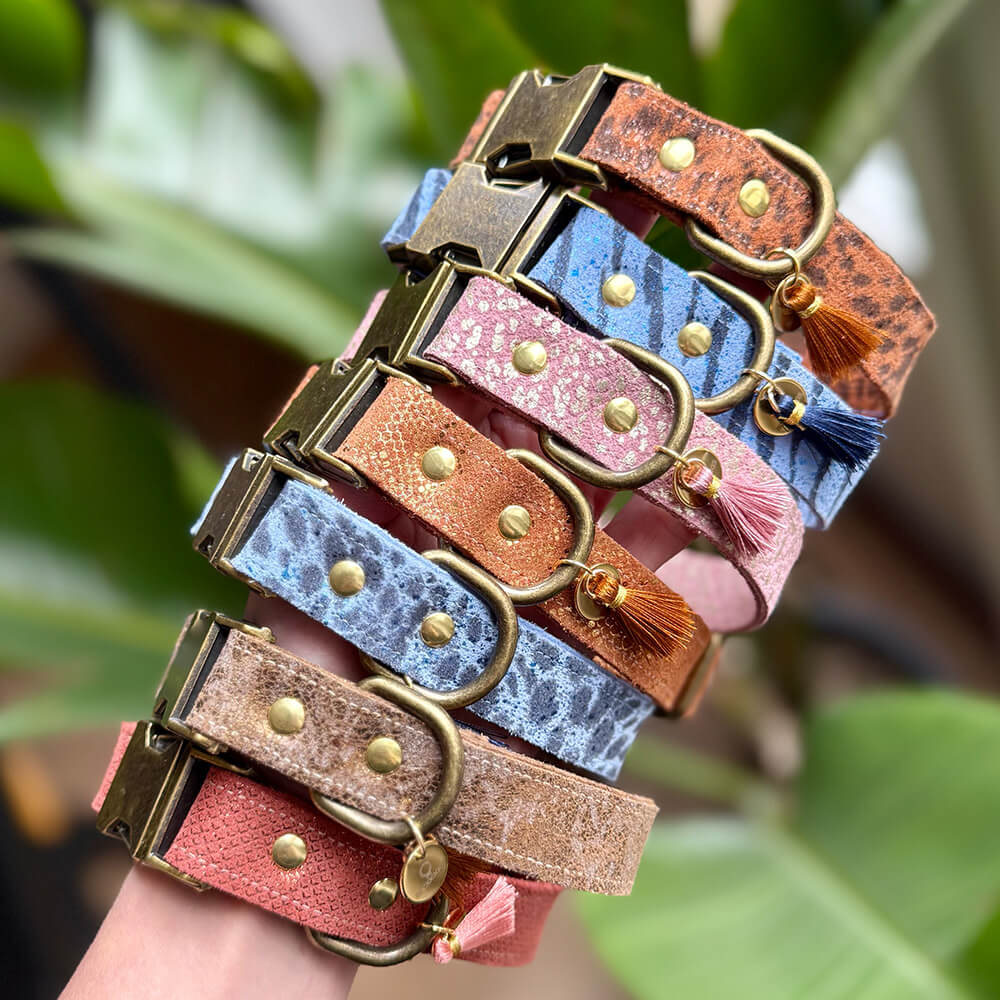 Rockxdogs - Leren halsband Pantera