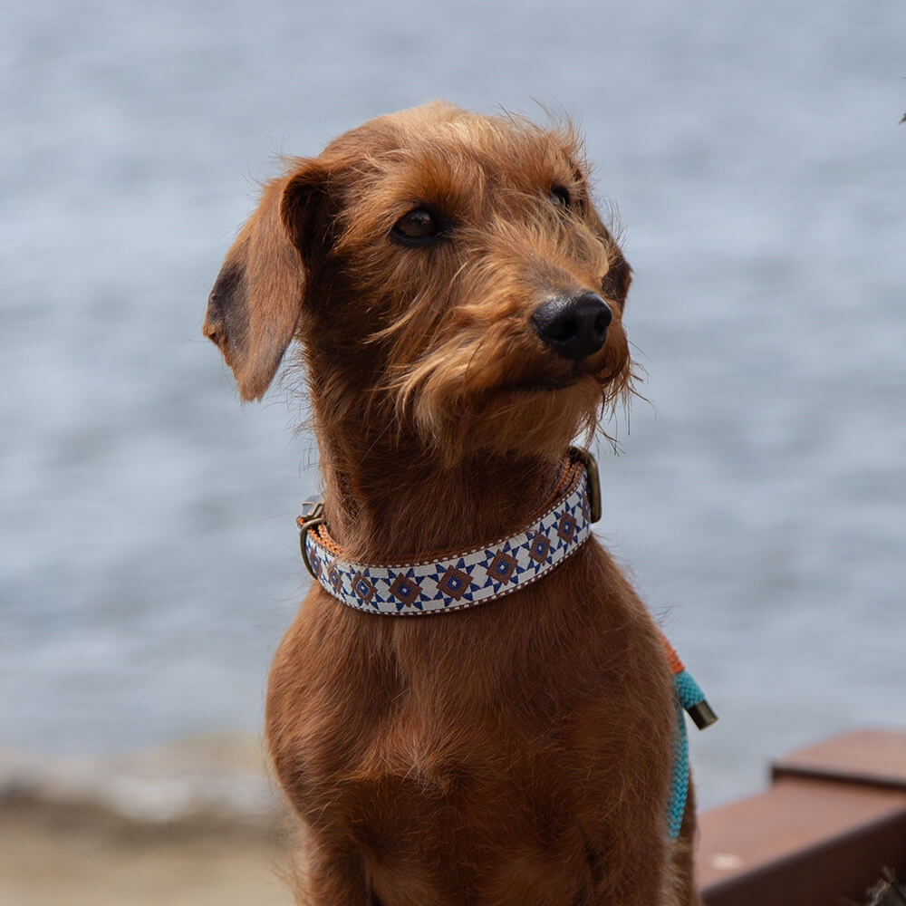 Rockxdogs - Halsband Boho Tribal