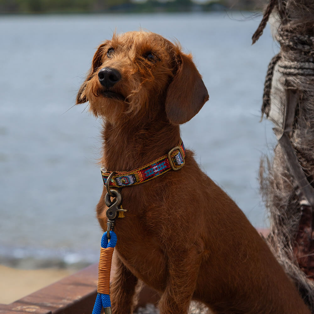 Rockxdogs - Halsband Boho Nomad