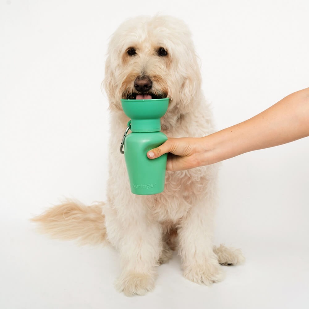 Springer - Flip Dog Travel Bottle - Green (590 ml)