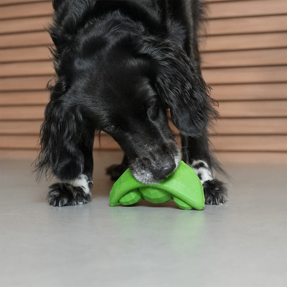 Zee.Dog - Super Veggiez - Green Bean (13 cm)