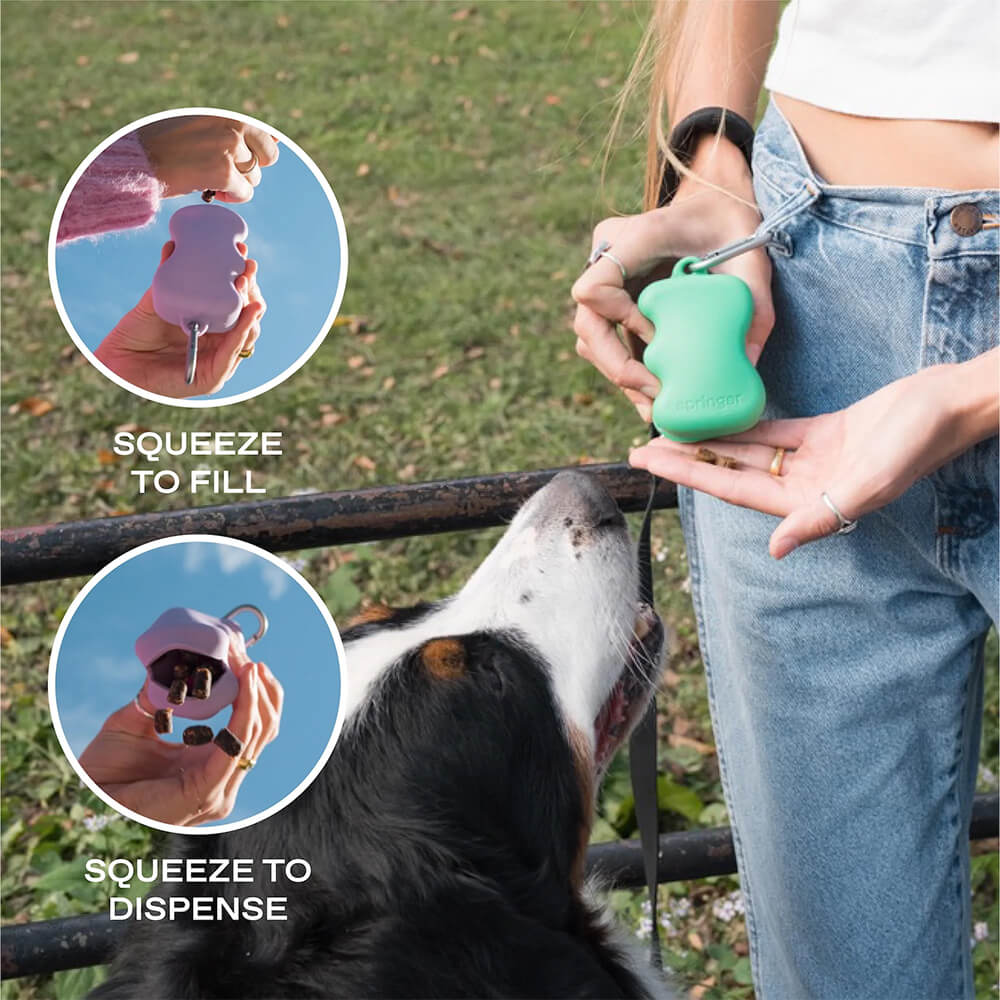 Springland - The Silicone Dog Treat Dispenser - Guava