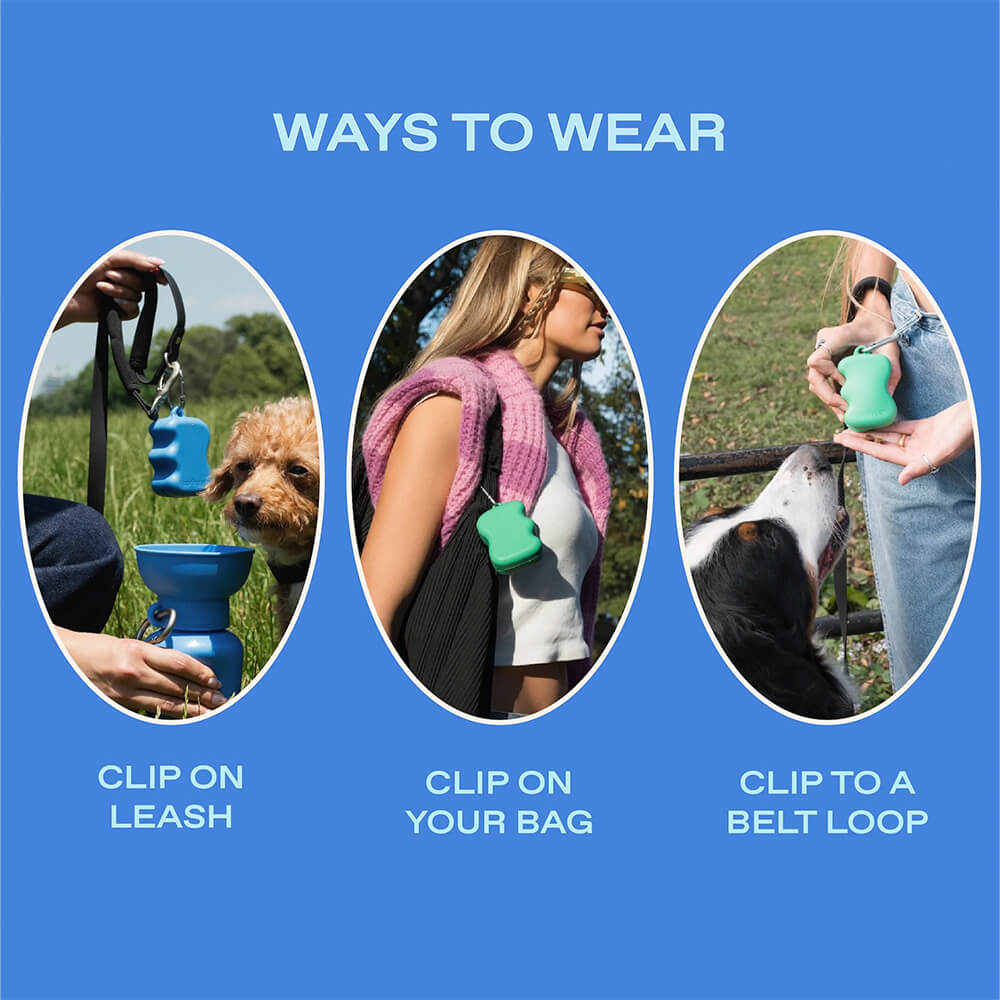 Springer - The Silicone Dog Treat Dispenser - Sky Blue