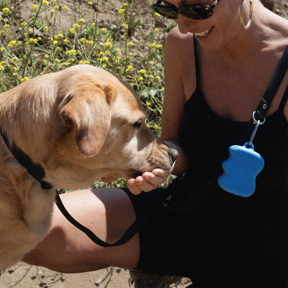 Springer - The Silicone Dog Treat Dispenser - Blueberry