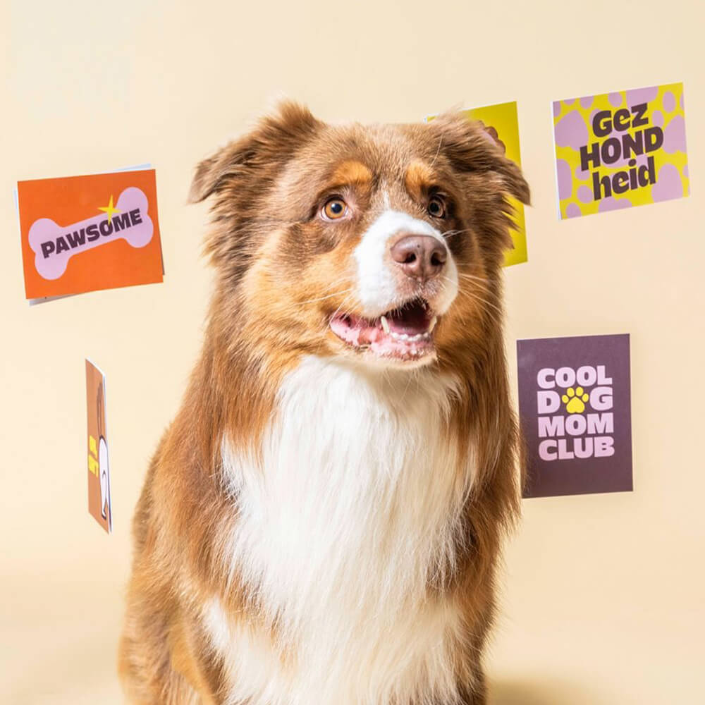 Heyday - Wenskaart - Cool dog mom club