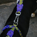 Zee.Dog - H-harnas Zmiley