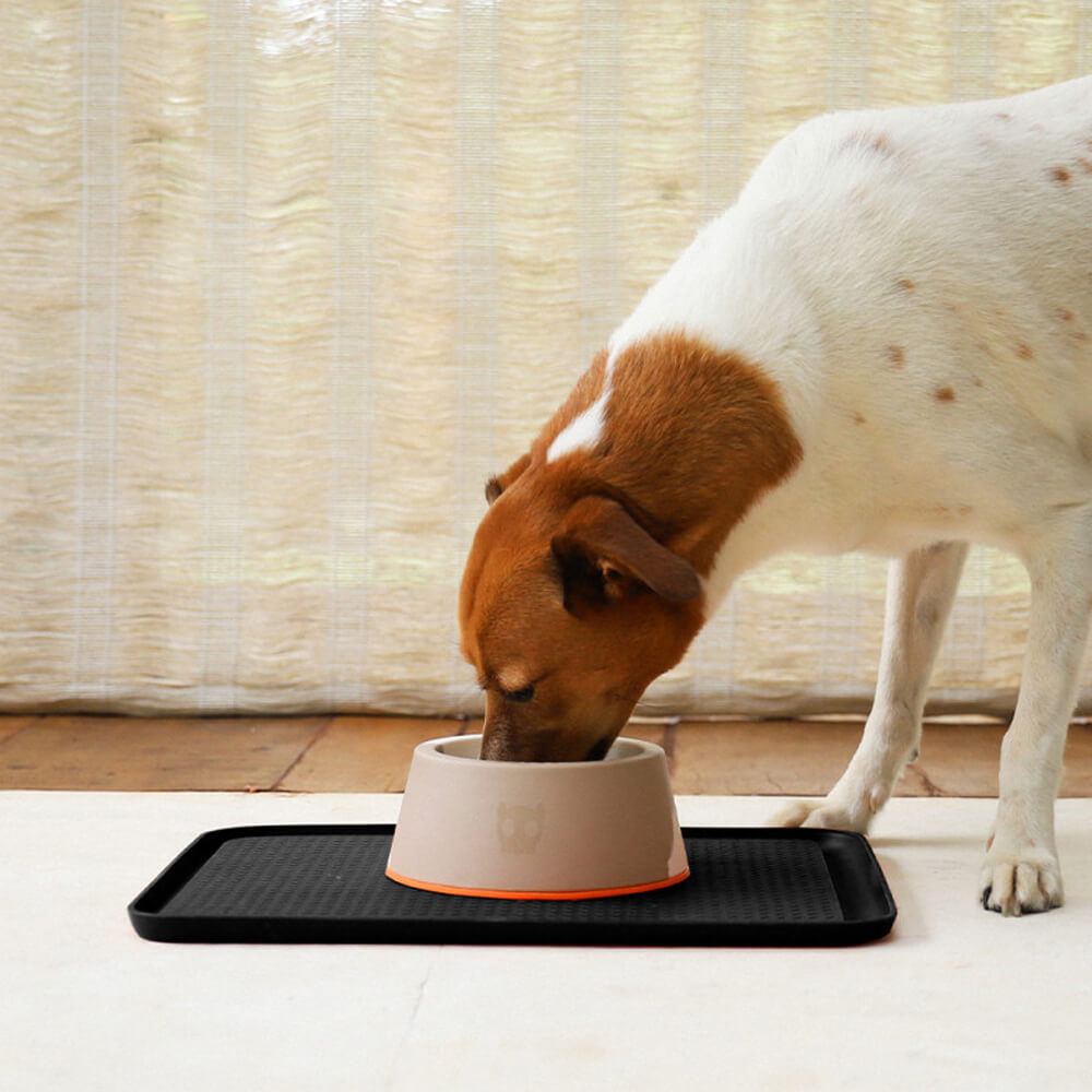 Zee.Dog - Classic Bowl Desert