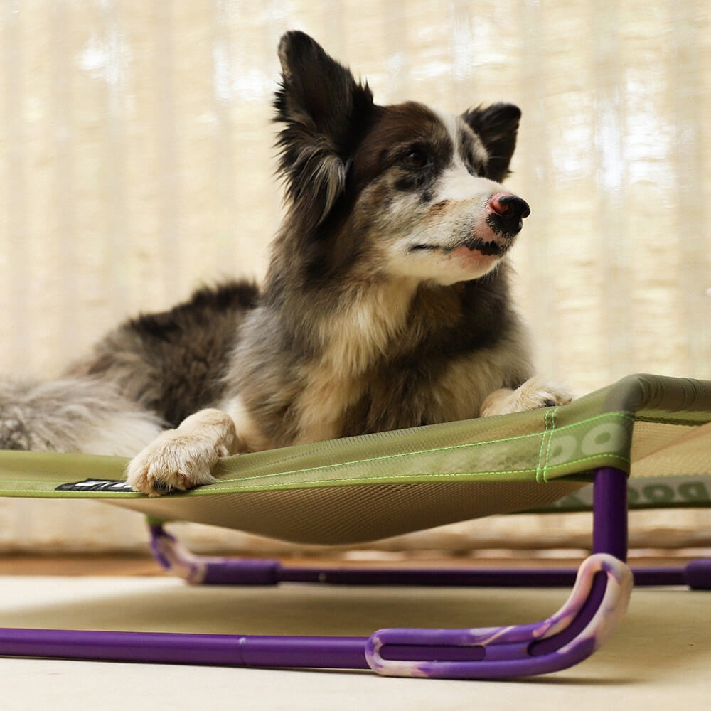 Zee.Dog - Air.Bed Green