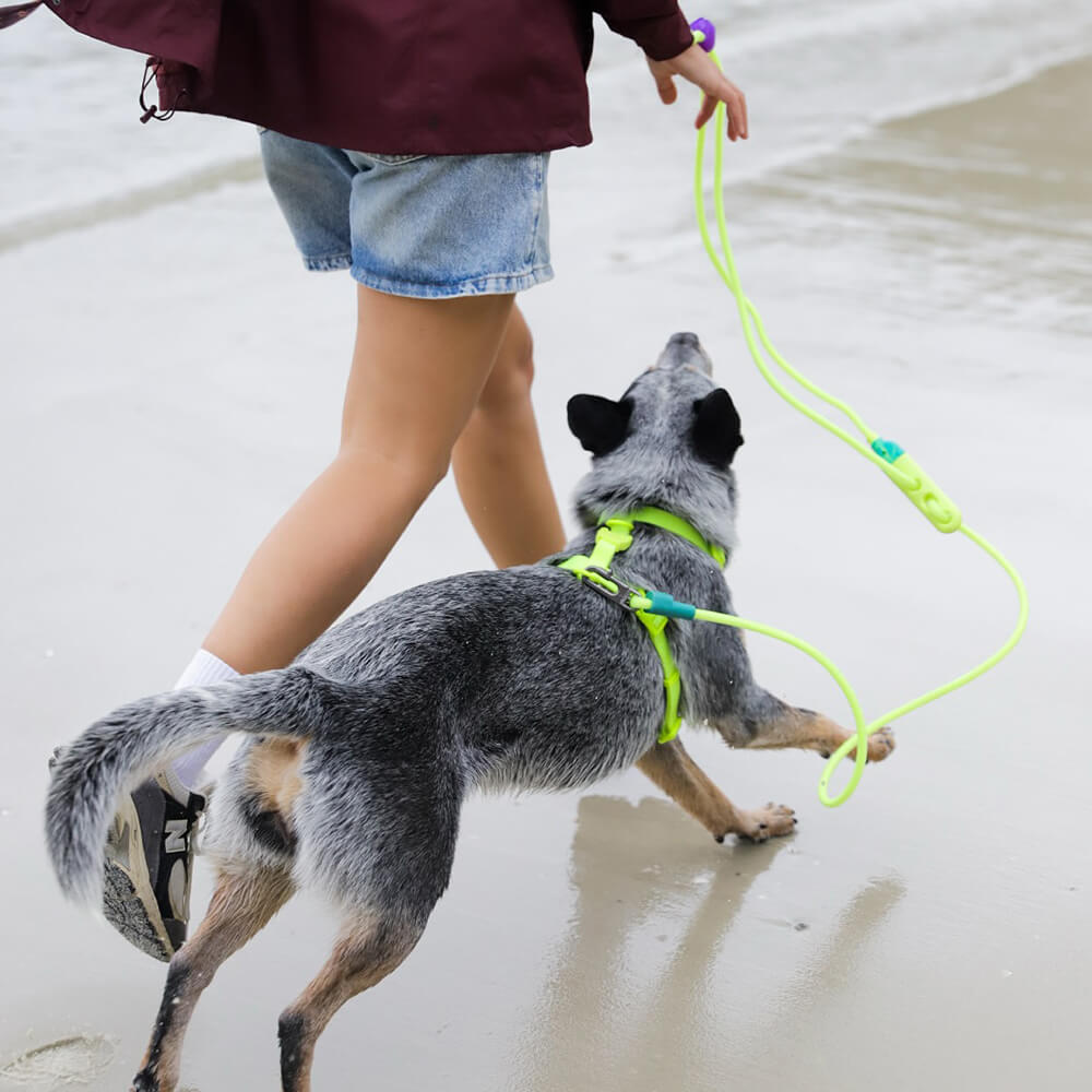Zee.Dog - Handsfree Riem Fluo