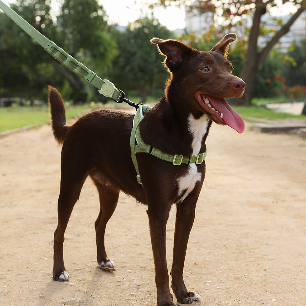 Zee.Dog - Ruff Riem Moss