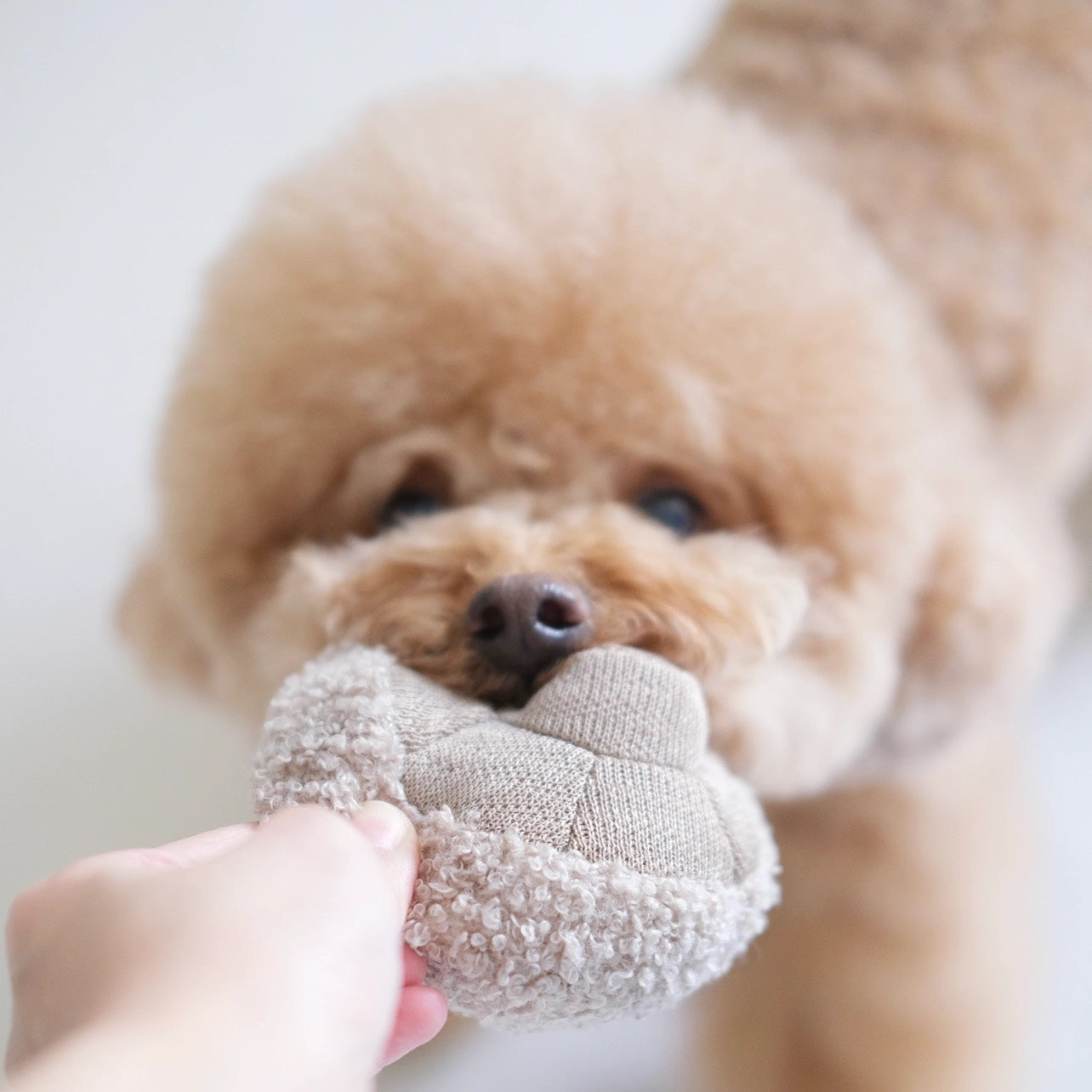 Lambwolf Collective - Boerenmarktset - 7 speeltjes