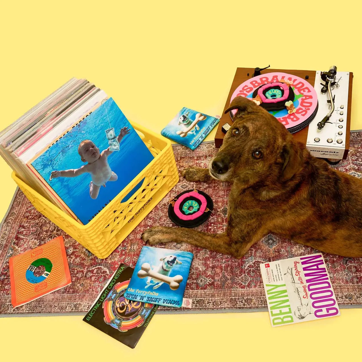 The Furryfolks - Vinyl (18 cm)