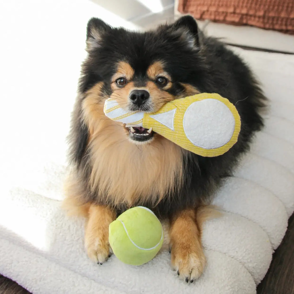 Lambwolf Collective - TENNIS POP