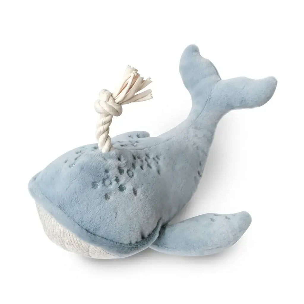 Lambwolf Collective - Wally the Whale (25 cm)