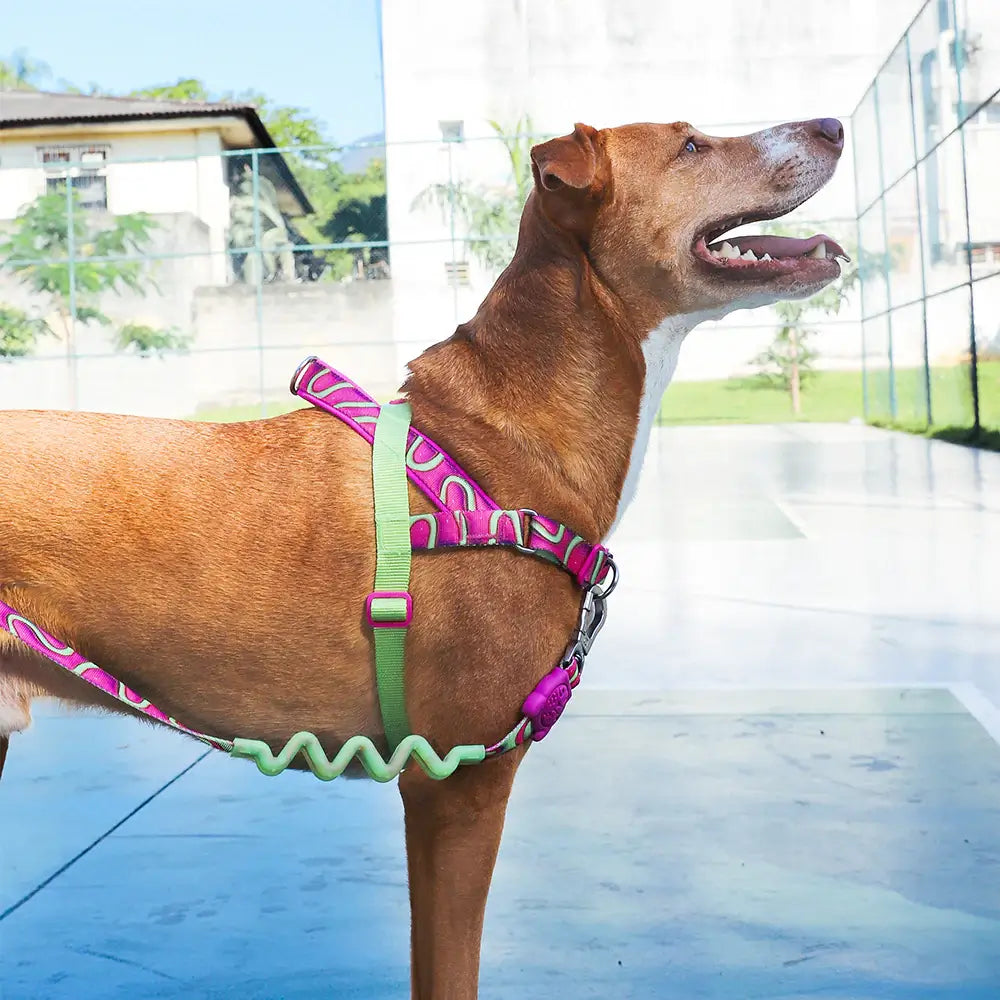 Zee.Dog - H3D Jelly Softer Walk harnas