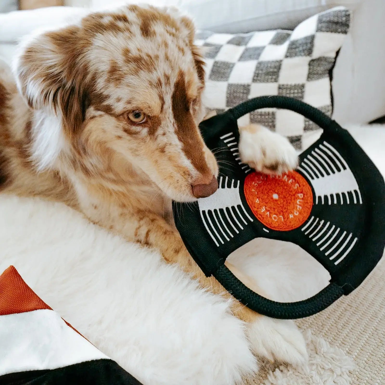 Lambwolf Collective - Bark To Beat