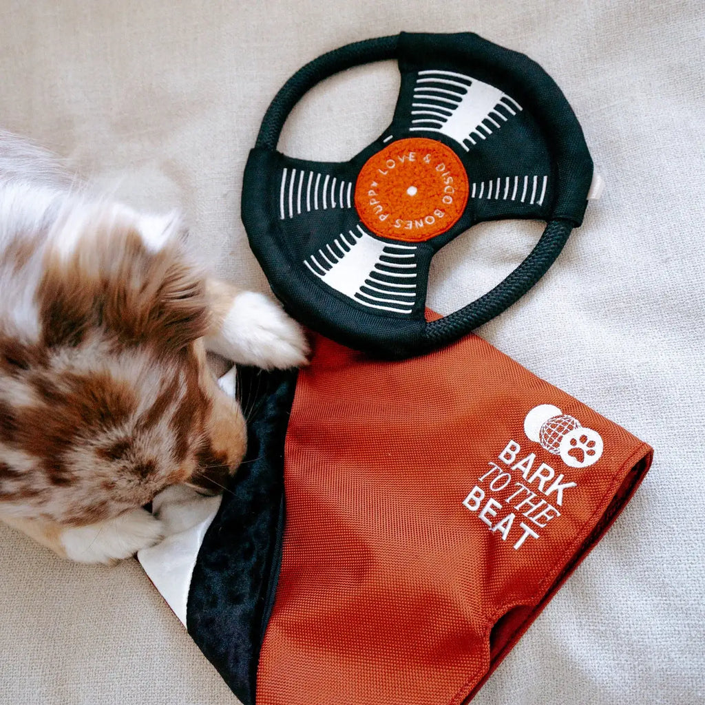 Lambwolf Collective - Bark To Beat