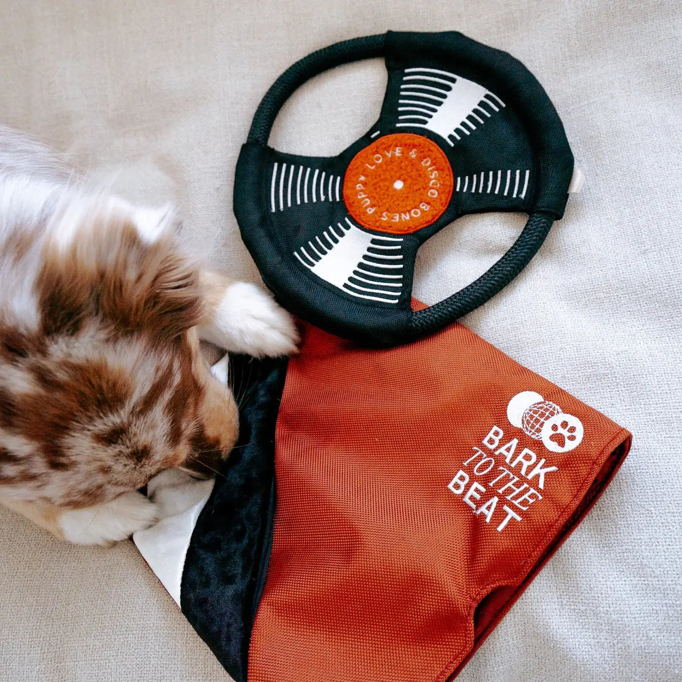 Lambwolf Collective - Bark To Beat