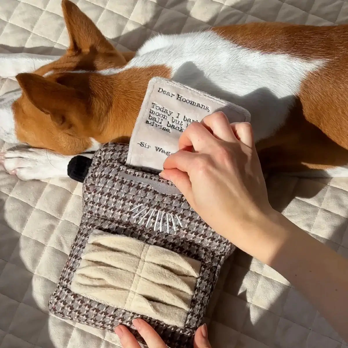 Lambwolf Collective - Typewriter