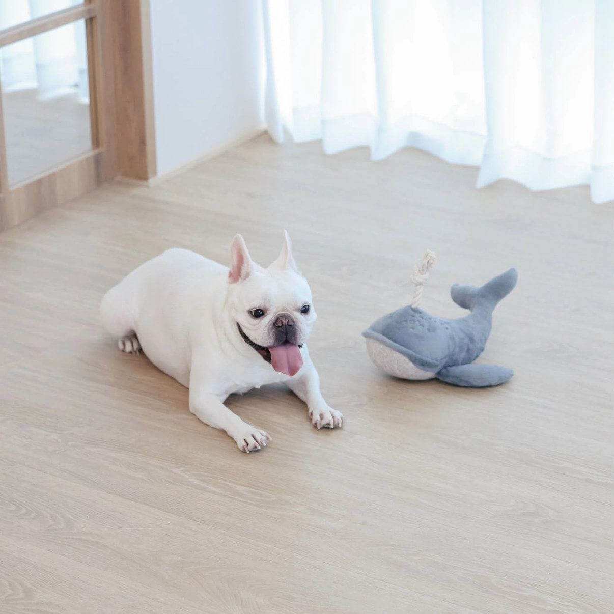 Lambwolf Collective - Wally the Whale (25 cm)