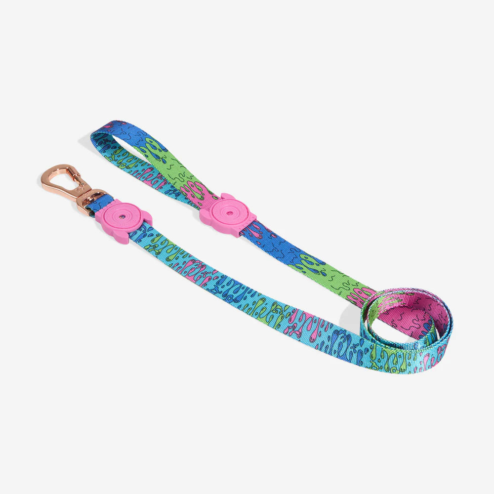 Zee.Dog - Riem Melted