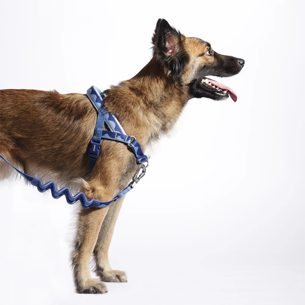 Zee.Dog - Swell Softer Walk harnas