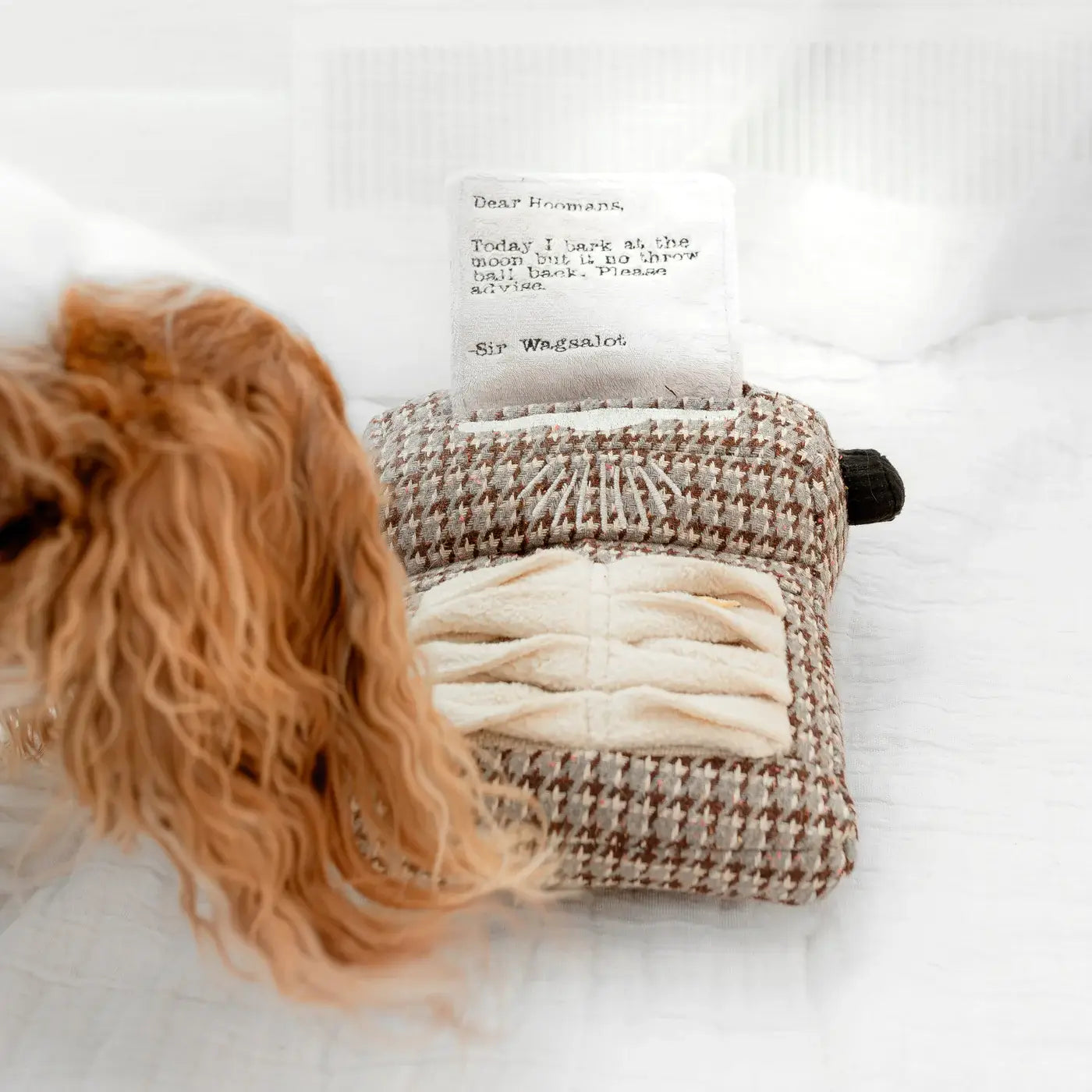 Lambwolf Collective - Typewriter